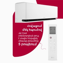 Air conditioner LG DA12CEH (T) 