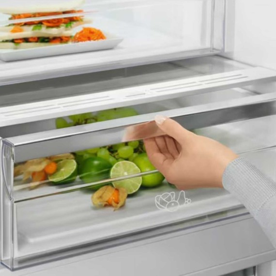 Refrigerator ELECTROLUX LNT7ME36K2 