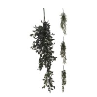 Flowers KOOPMAN HANGING PLANT 4ASS (317005060)