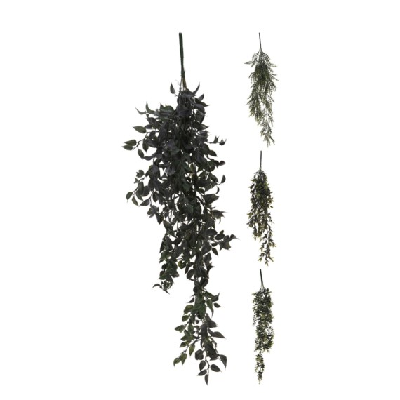 Flowers KOOPMAN HANGING PLANT 4ASS (317005060)