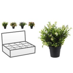 Цветы KOOPMAN PLANT IN PP POT 8ASS (317221300)