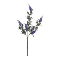 Цветы KOOPMAN FLOWERS 4ASS (317354260)