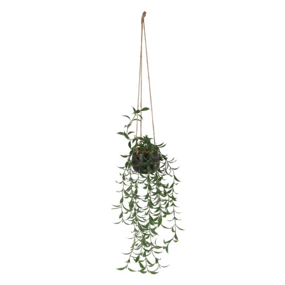 Цветы KOOPMAN HANG PLANT IN CERAMIC POT (HZ1952810)