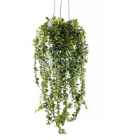 Цветы KOOPMAN HANG PLANT IN PP POT 60CM (317221250)