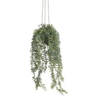 Цветы KOOPMAN HANG PLANT IN PP POT 60CM (317221250)