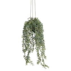 Цветы KOOPMAN HANG PLANT IN PP POT 60CM (317221250)