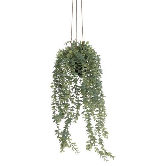 Цветы KOOPMAN HANG PLANT IN PP POT 60CM (317221250)