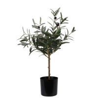 Декоративные деревья KOOPMAN OLIVE TREE IN POT 66CM (317002910)