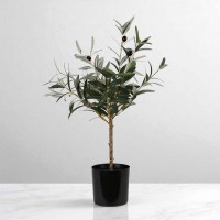 Декоративные деревья KOOPMAN OLIVE TREE IN POT 66CM (317002910)