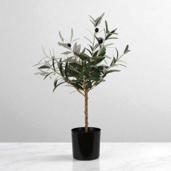 Декоративные деревья KOOPMAN OLIVE TREE IN POT 66CM (317002910)