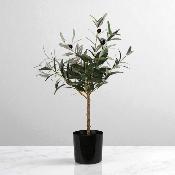 Декоративные деревья KOOPMAN OLIVE TREE IN POT 66CM (317002910)