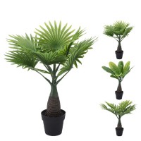 Декоративные деревья KOOPMAN PALM ARTIFICIAL 40CM 3ASS (317880060)
