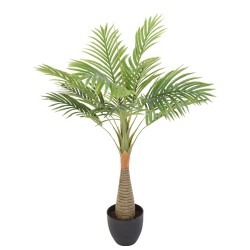 Декоративные деревья KOOPMAN PALM IN POT 80CM (317888050)