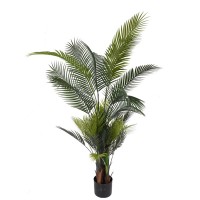 Դեկորատիվ  ծառեր KOOPMAN PLANT ARTIFICIAL PALM TREE H160CM (318001020)