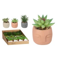 Цветы KOOPMAN PLANT IN CEMENT POT 3ASS (NB1422000)
