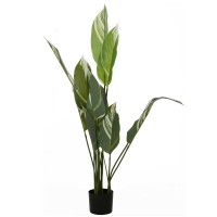 Декоративные деревья KOOPMAN PLANT IN POT 118CM (PL6000030)