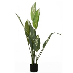 Decorative trees KOOPMAN PLANT IN POT 118CM (PL6000030)