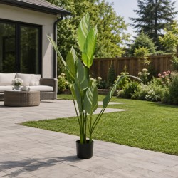 Decorative trees KOOPMAN PLANT IN POT 118CM (PL6000030)