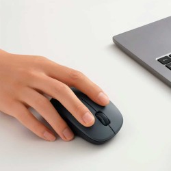 Компьютерные мыши XIAOMI Wireless Comfort Edition (Black) (BHR9359GL)
