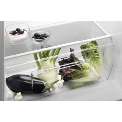 Refrigerator ELECTROLUX LRB1AF24W 