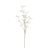 Ծաղիկներ KOOPMAN FLOWERS 4ASS COLOURS 79CM (541787) (837900080)