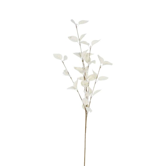 Ծաղիկներ KOOPMAN FLOWERS 4ASS COLOURS 79CM (541787) (837900080)