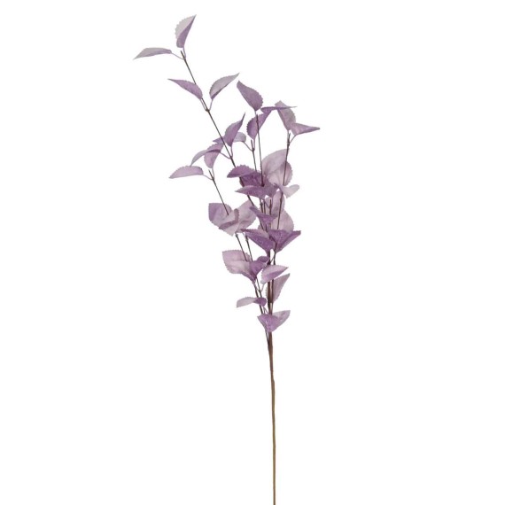 Ծաղիկներ KOOPMAN FLOWERS 4ASS COLOURS 79CM (541787) (837900080)