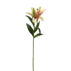 Цветы KOOPMAN LILY 59CM 3ASS (485213) (318800230)