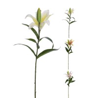 Ծաղիկներ KOOPMAN LILY 59CM 3ASS (485213) (318800230)