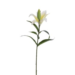 Цветы KOOPMAN LILY 59CM 3ASS (485213) (318800230)