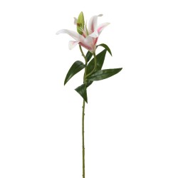 Цветы KOOPMAN LILY 59CM 3ASS (485213) (318800230)