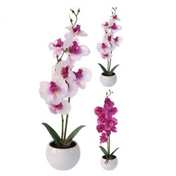 Цветы KOOPMAN ORCHID 11X39CM 2ASS CLR (342875) (317353840)