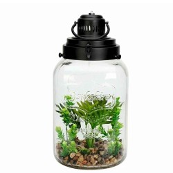 Цветы KOOPMAN PLANT IN GLASS POT 200X390MM (360678) (HZ1952870)