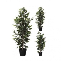 Декоративные деревья KOOPMAN PLANT IN POT 95CM 2ASS DESIGN (387674) (317002620)