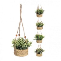Цветы KOOPMAN PLANT IN SEAGRASS POT 4ASS (846014) (317221000)
