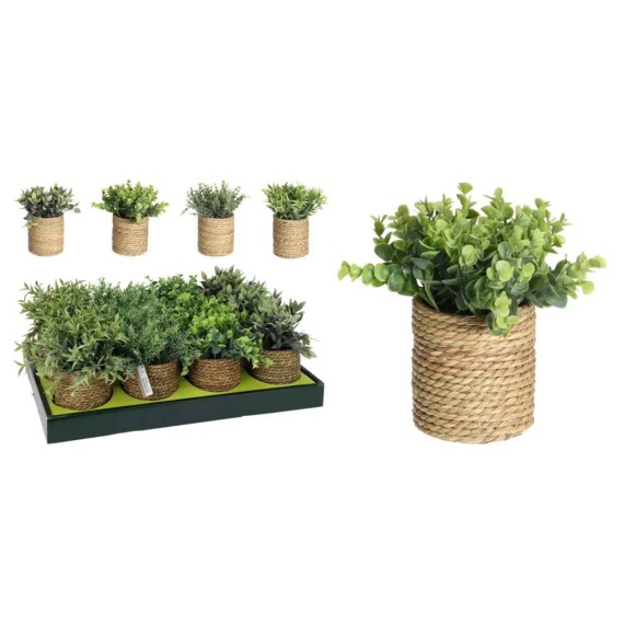 Flowers KOOPMAN PLANT IN SEAGRASS POT4ASS (846021) (317221010)