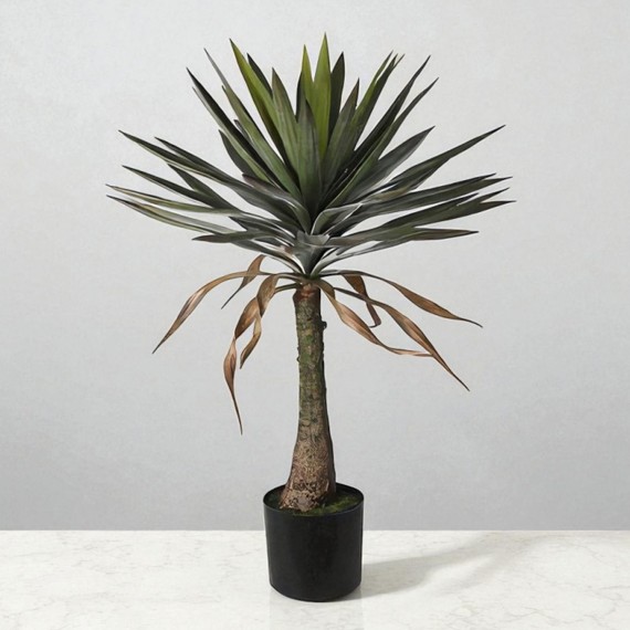 Декоративные деревья KOOPMAN YUCCA TREE 90CM (145664) (318000880)