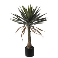 Декоративные деревья KOOPMAN YUCCA TREE 90CM (145664) (318000880)