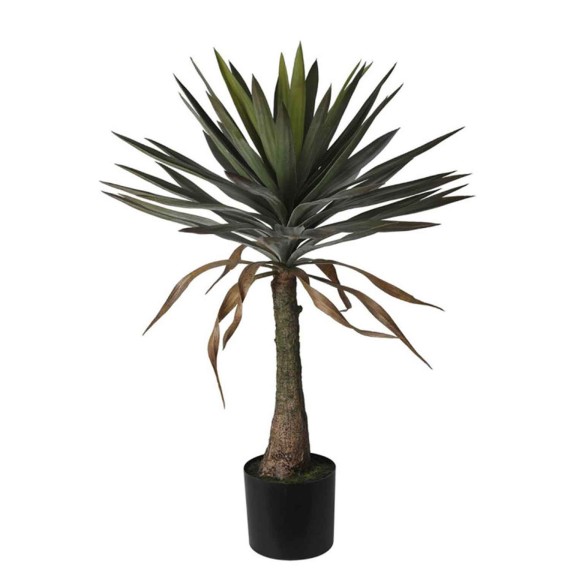 Декоративные деревья KOOPMAN YUCCA TREE 90CM (145664) (318000880)