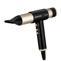 Hair styler BRAYER BR3308 