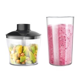Hand blender CENTEK CT-1311 
