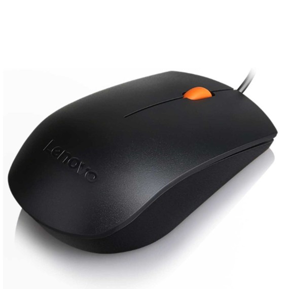Մկնիկ LENOVO 300 USB Mouse (GX30M39704)