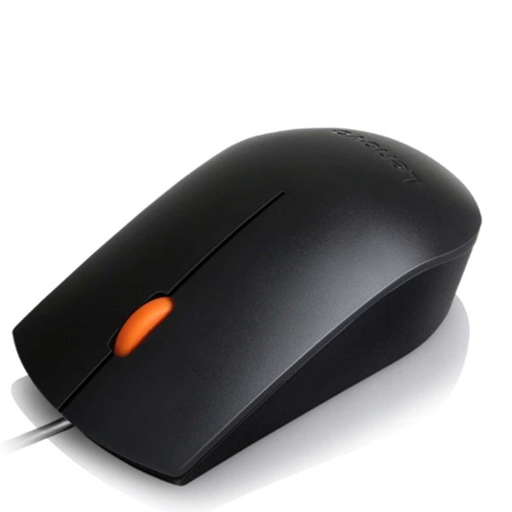 Մկնիկ LENOVO 300 USB Mouse (GX30M39704)