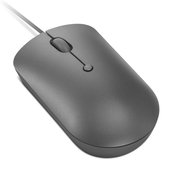 Компьютерные мыши LENOVO 540 USB-C Wired Compact Mouse (Storm Grey) (GY51D20876)