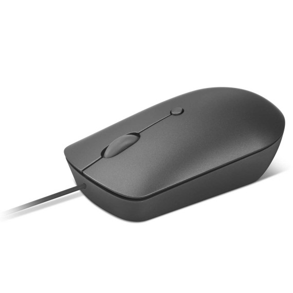 Компьютерные мыши LENOVO 540 USB-C Wired Compact Mouse (Storm Grey) (GY51D20876)