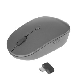 Компьютерные мыши LENOVO Go USB-C Wireless (Storm Grey) (GY51C21210)