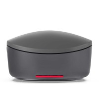 Компьютерные мыши LENOVO Go USB-C Wireless+BT Multi-Device (Storm Grey) (GY51C21211)