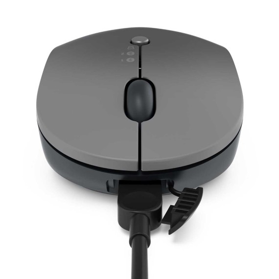 Mouse LENOVO Go USB-C Wireless+BT Multi-Device (Storm Grey) (GY51C21211)