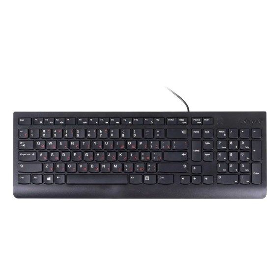 Клавиатура LENOVO 300 USB Keyboard RU Layout (Black) (GX30M39684)