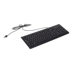 Keyboard LENOVO 300 USB Keyboard RU Layout (Black) (GX30M39684)